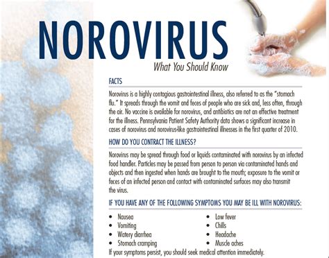 norovirus isolation period